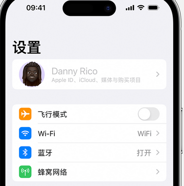 和乐镇appleID维修服务iPhone设置中Apple ID显示为灰色无法使用 