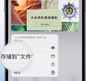 和乐镇apple维修中心分享iPhone文件应用中存储和找到下载文件