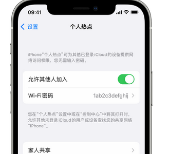 和乐镇apple服务站点分享iPhone上个人热点丢失了怎么办 