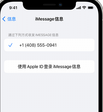 和乐镇apple维修iPhone上无法正常发送iMessage信息