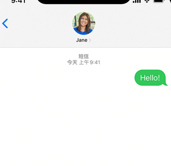 和乐镇apple维修iPhone上无法正常发送iMessage信息