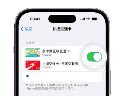 和乐镇apple维修点分享iPhone上更换Apple Pay快捷交通卡手绘卡面 