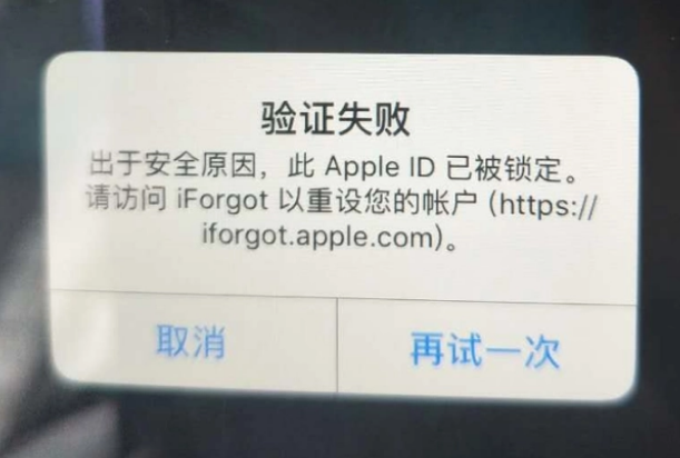 和乐镇iPhone维修分享iPhone上正常登录或使用AppleID怎么办 