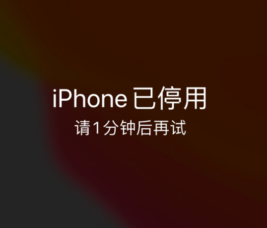 和乐镇苹果手机维修分享:iPhone 显示“不可用”或“已停用”怎么办？还能保留数据吗？ 