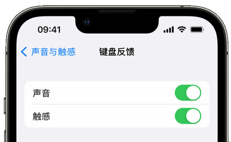 和乐镇苹果手机维修分享iPhone 14触感键盘使用方法 