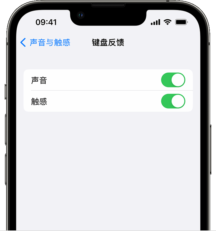 和乐镇苹果14维修店分享如何在 iPhone 14 机型中使用触感键盘 