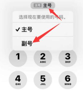 和乐镇苹果14维修店分享iPhone 14 Pro Max使用副卡打电话的方法 