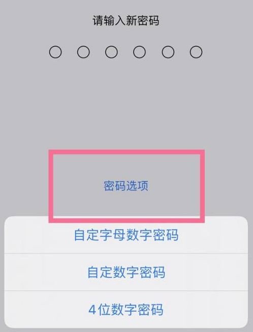 和乐镇苹果14维修分享iPhone 14plus设置密码的方法 