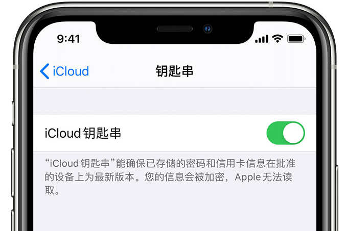 和乐镇苹果手机维修分享在 iPhone 上开启 iCloud 钥匙串之后会储存哪些信息 