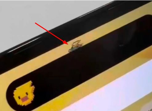 和乐镇苹果14维修分享iPhone 14 Pro Max灵动岛怎么养宠物 