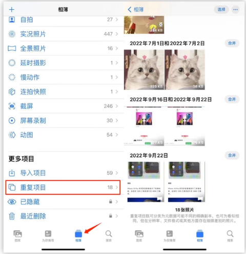 和乐镇苹果手机维修分享iOS 16 中相册重复项目功能使用方法 