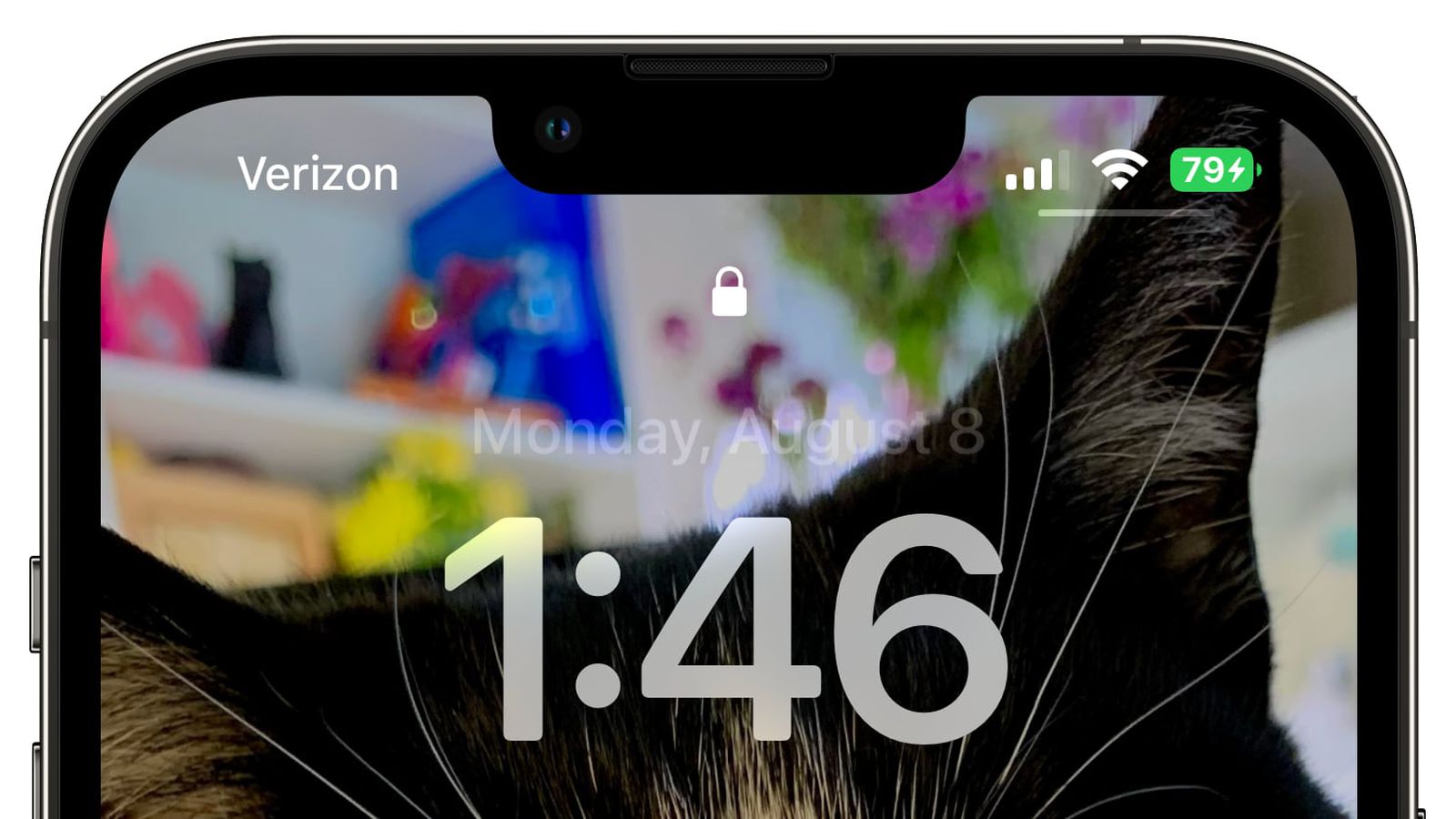 和乐镇苹果手机维修分享iOS 16 beta 5 支持状态栏显示电池百分比，如何开启？支持哪些机型 