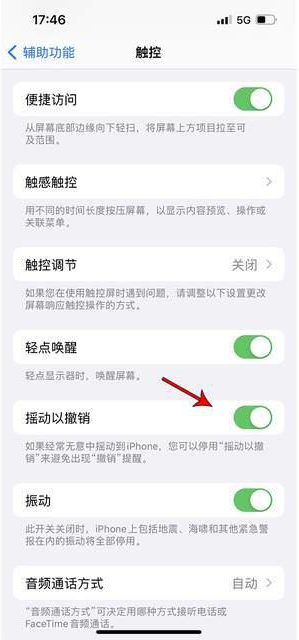 和乐镇苹果手机维修分享iPhone手机如何设置摇一摇删除文字 