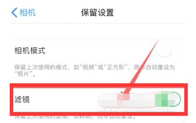 和乐镇苹果13维修分享iPhone13拍照有绿点是怎么回事 
