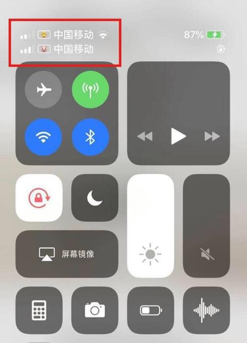 和乐镇苹果手机维修分享为 iPhone 12 双卡设置标签 